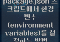 package.json 스크립트에서 환경 변수(environment variables)를 설정하는 방법