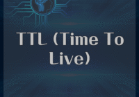 TTL (Time To Live)