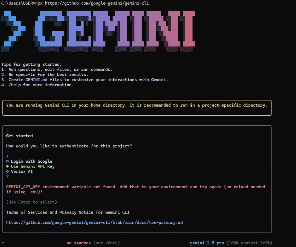 gemini 초기 화면